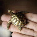 Small Brass Turtle