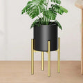 Gold Plant Stand