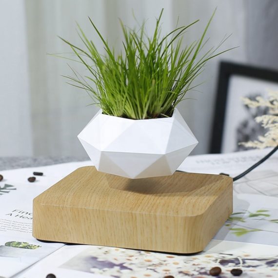 Levitating Flower Pot