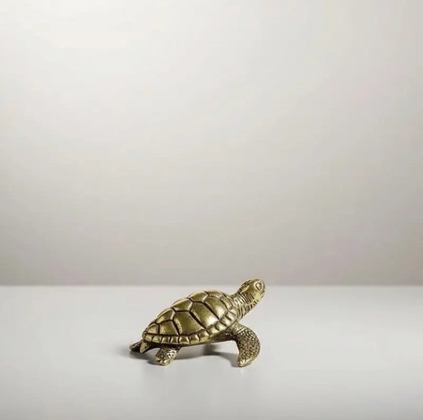 Small Brass Turtle