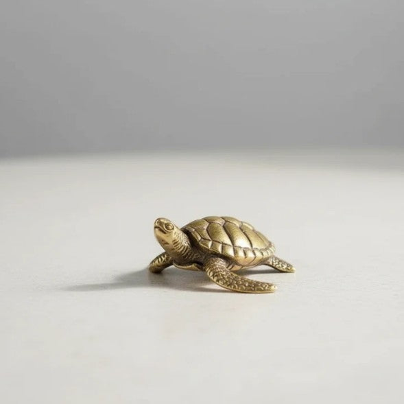 Small Brass Turtle