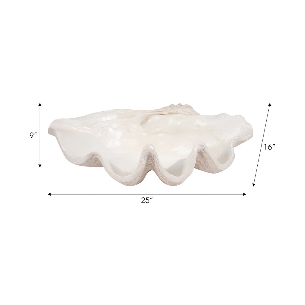 Ivory Polyresin Pearlized Clam Shell
