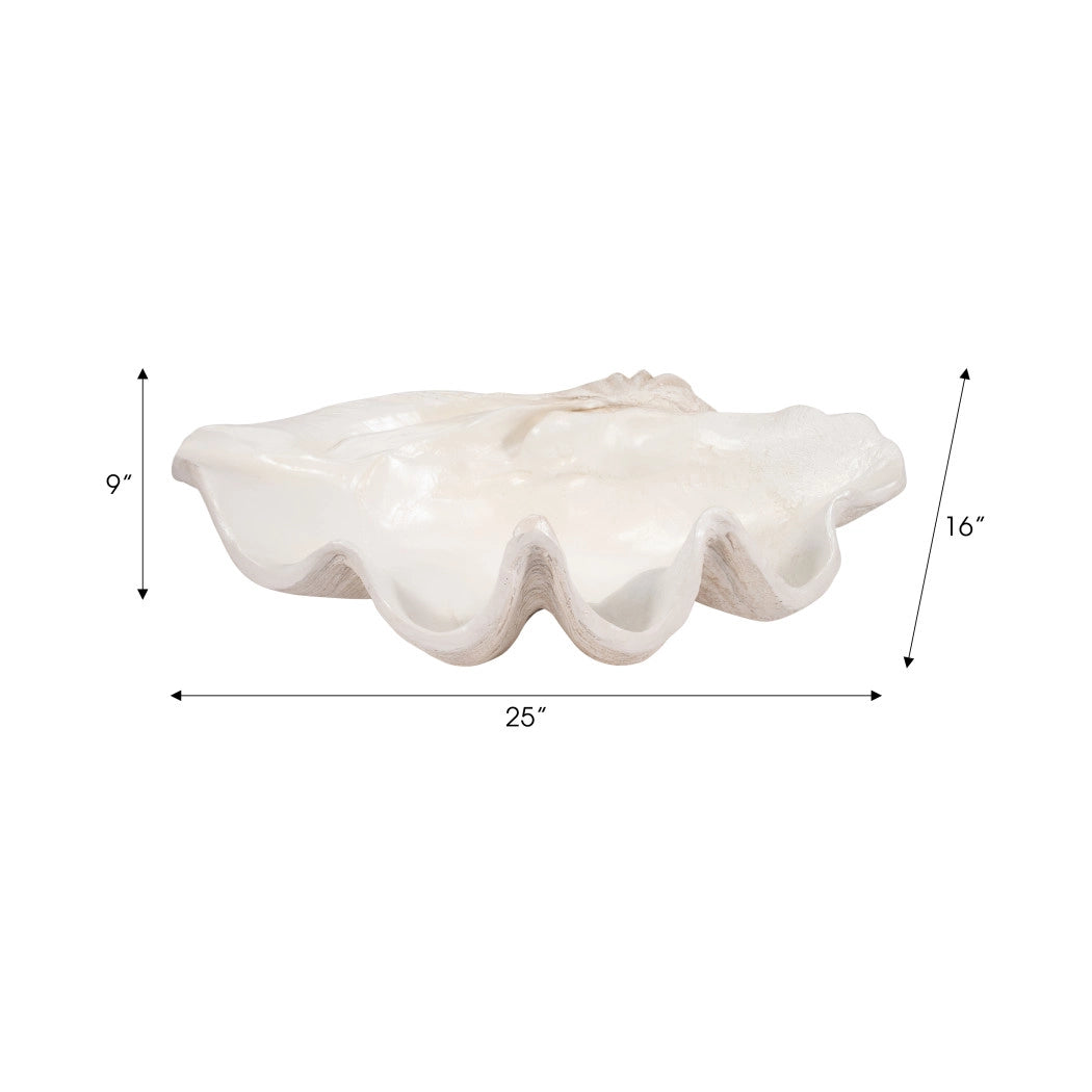 Ivory Polyresin Pearlized Clam Shell
