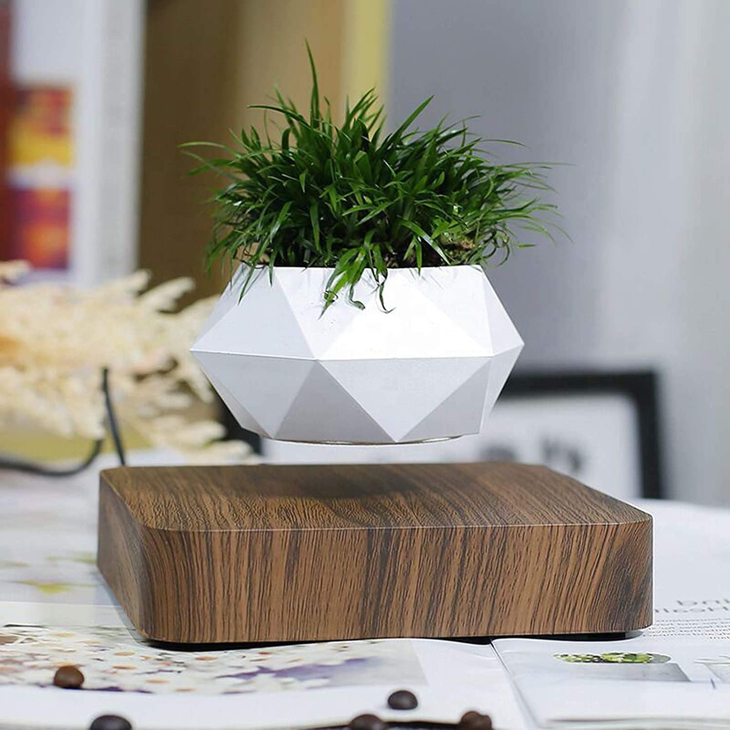 Levitating Flower Pot