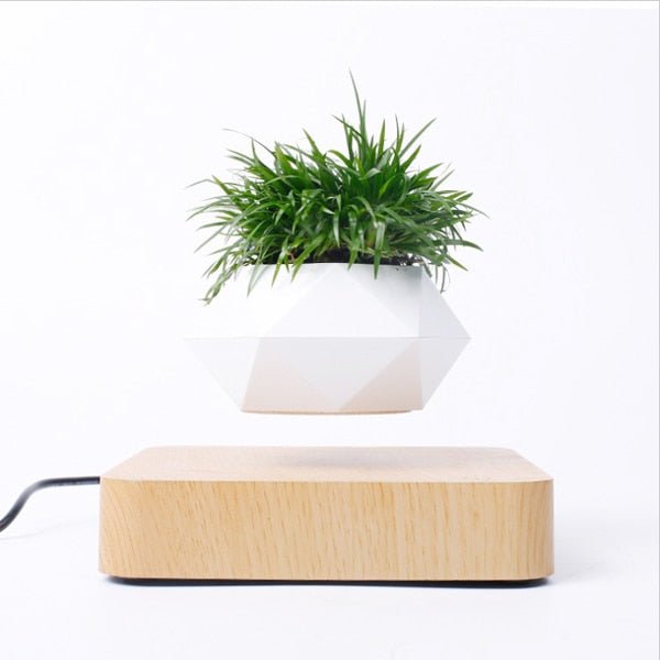 Levitating Flower Pot