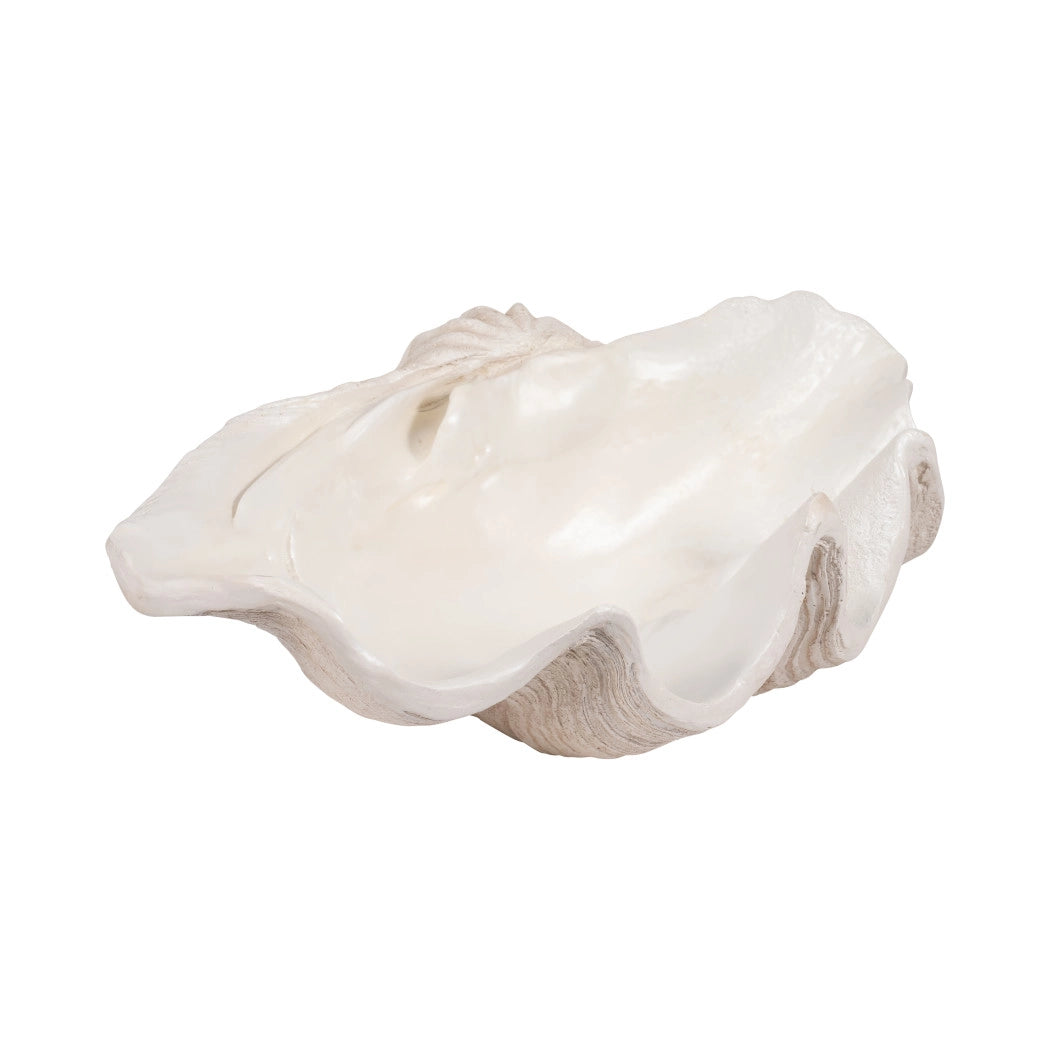 Ivory Polyresin Pearlized Clam Shell